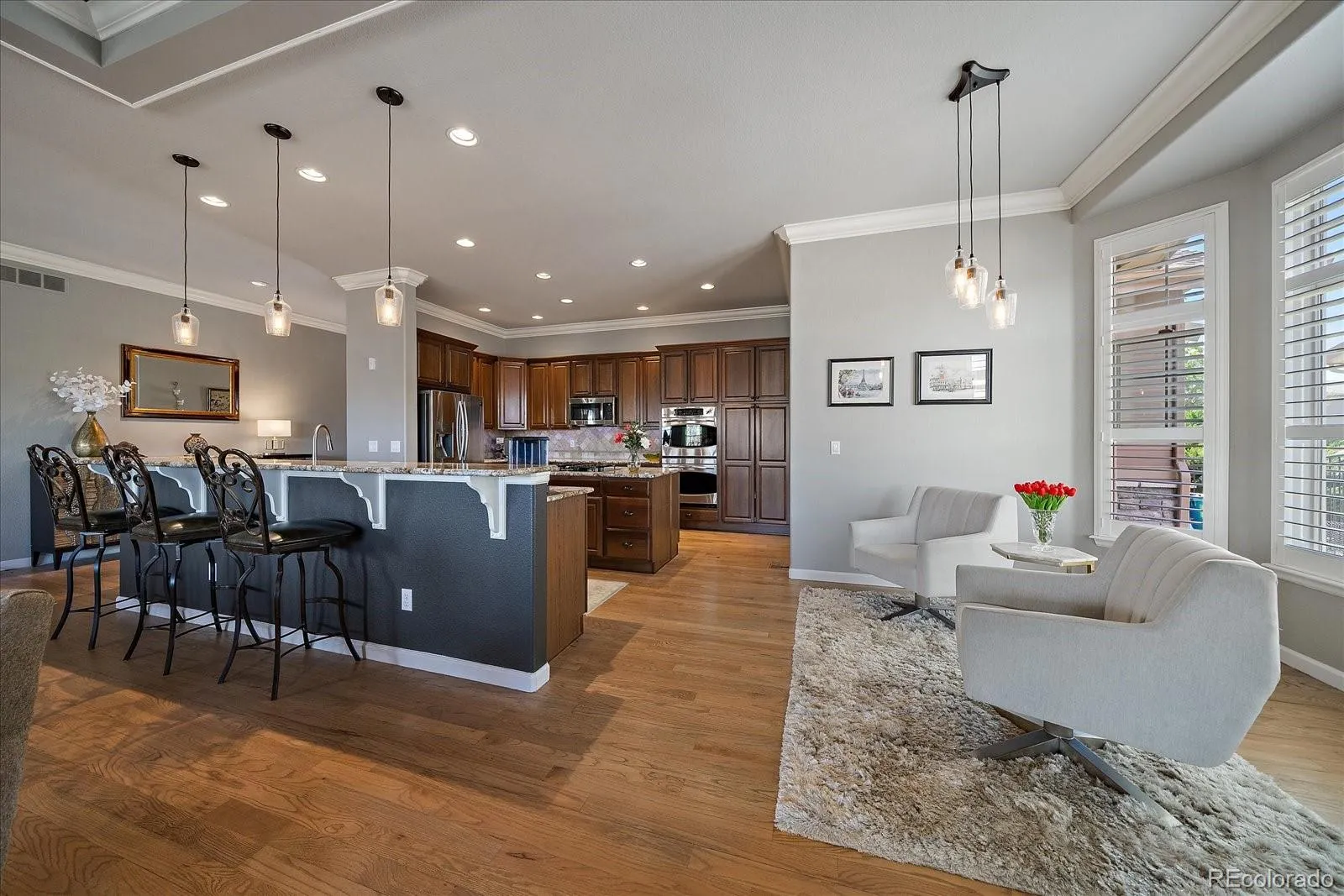 7660 S Blackstone Parkway Aurora CO 80016 MLS #REC4116596 05142026211429 1600 15