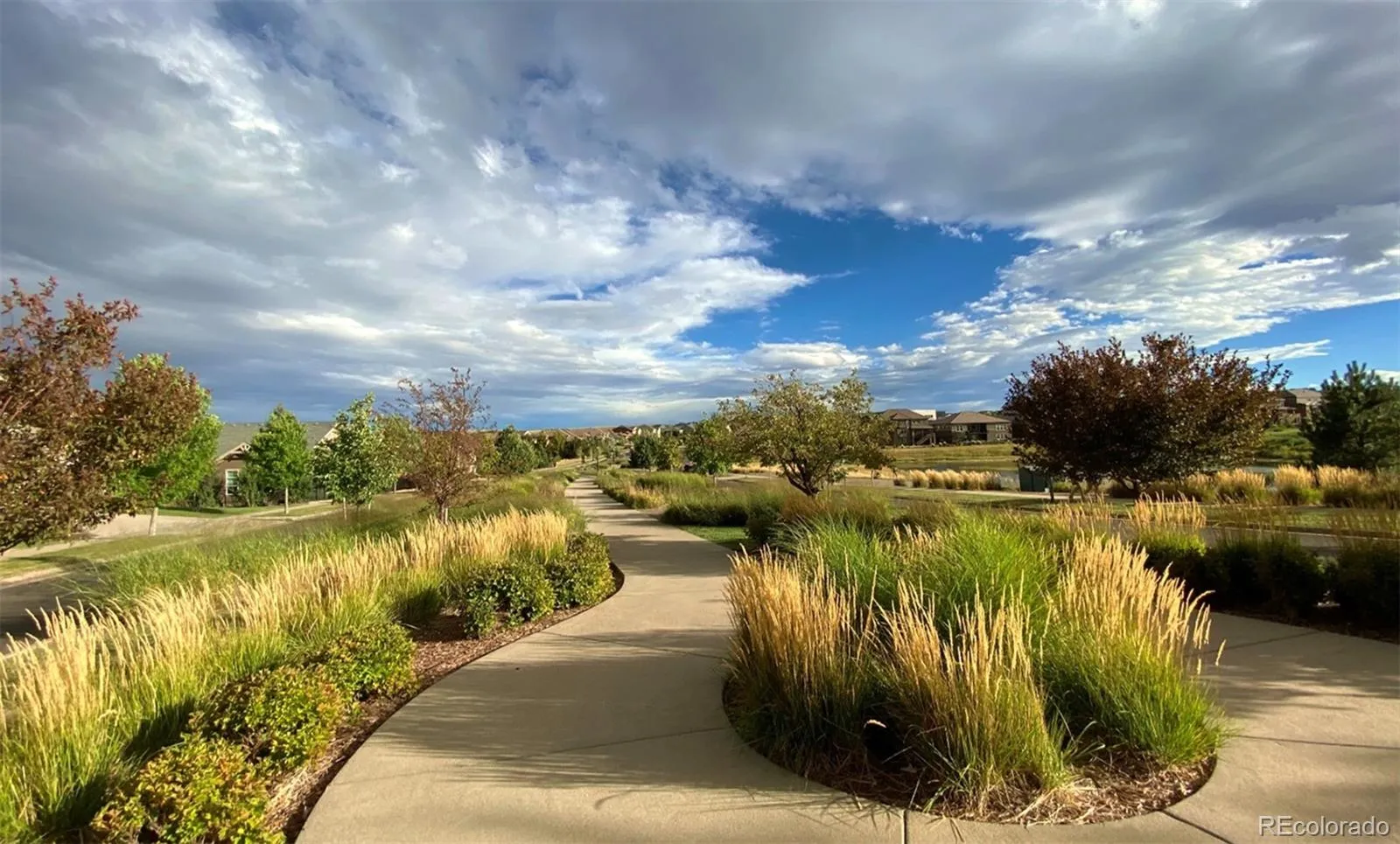 7660 S Blackstone Parkway Aurora CO 80016 MLS #REC4116596 05142026211429 1600 41