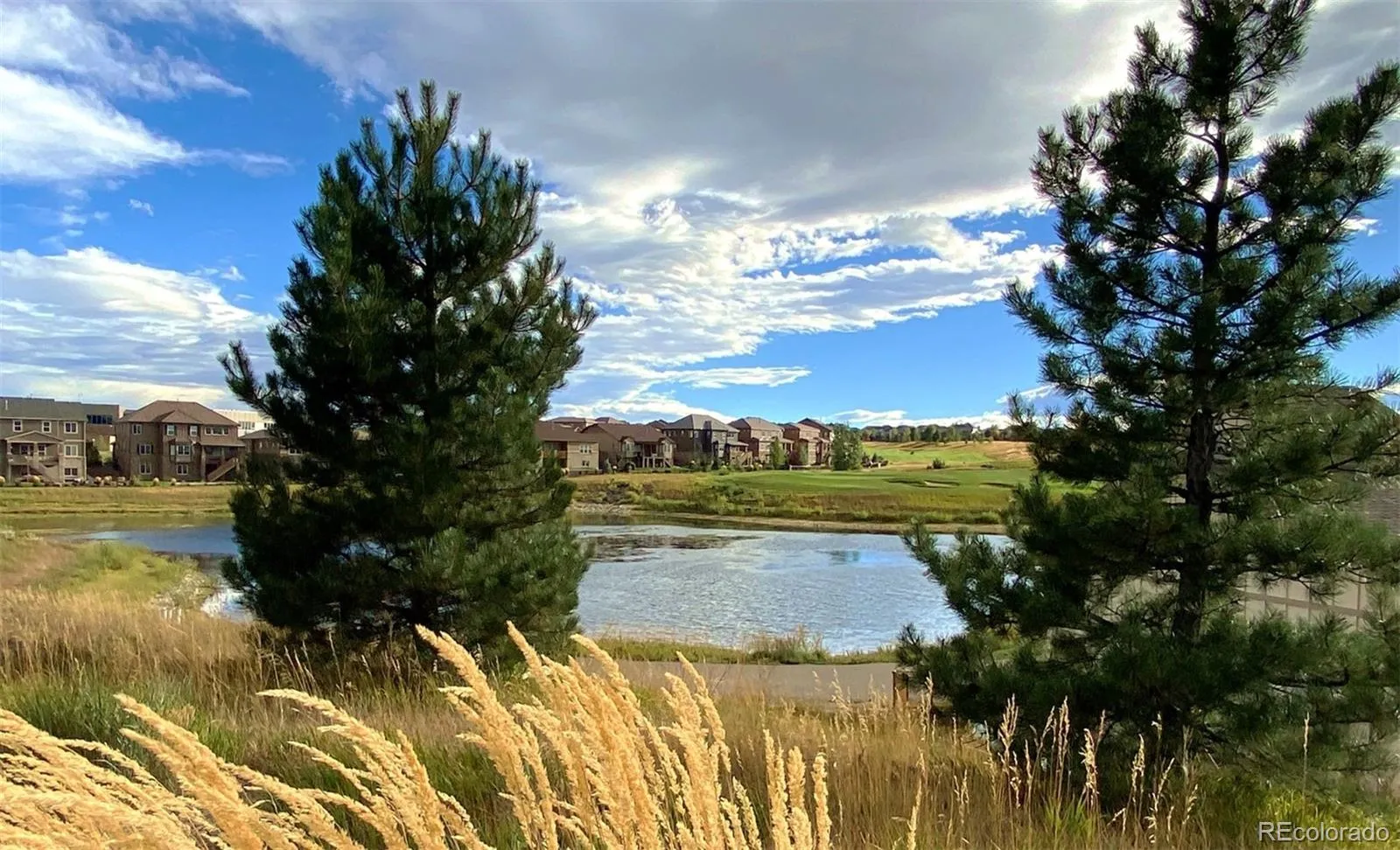 7660 S Blackstone Parkway Aurora CO 80016 MLS #REC4116596 05142026211429 1600 42