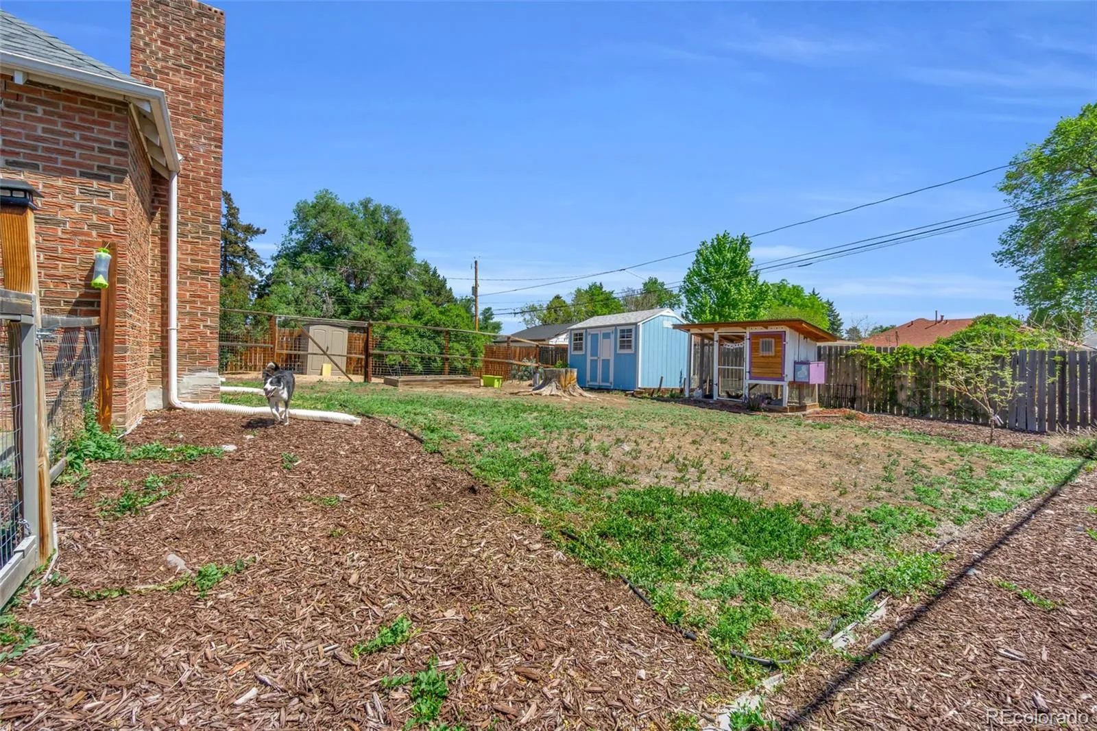790 S Eliot Street Denver CO 80219 MLS #REC4122469 05142026211439 1600 31