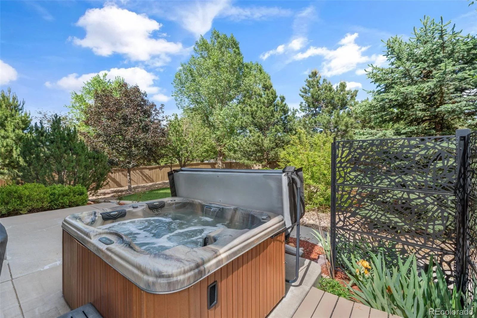 566 Springvale Road Castle Rock CO 80104 | MLS #REC4122859 08172026175808 1600 1