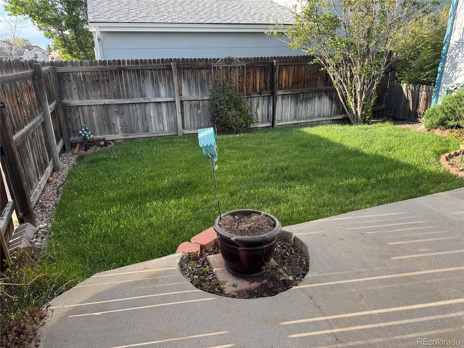 133 Rockaway Avenue Castle Rock CO 80104 | MLS #REC4123713 08282026174805 1600 13