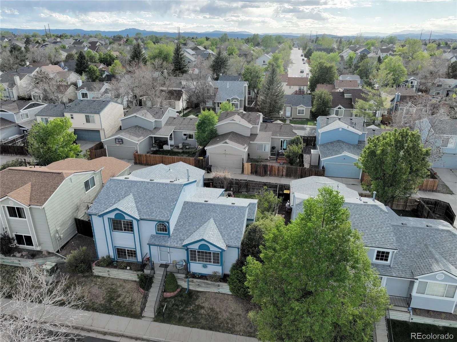 133 Rockaway Avenue Castle Rock CO 80104 | MLS #REC4123713 08282026174805 1600 38