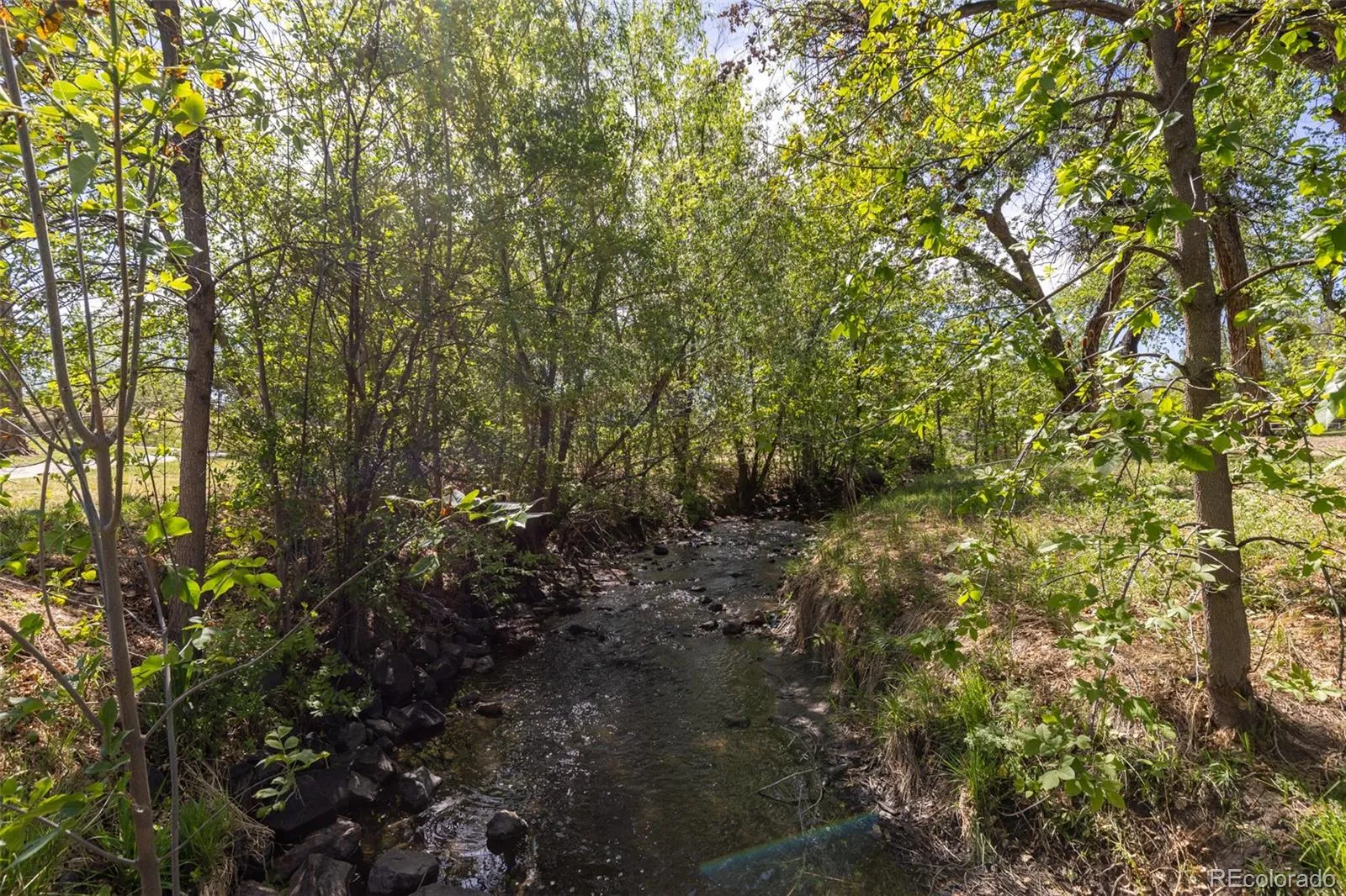 6110 Brooks Drive Arvada CO 80004 MLS #REC4131861 05152026034538 1600 28