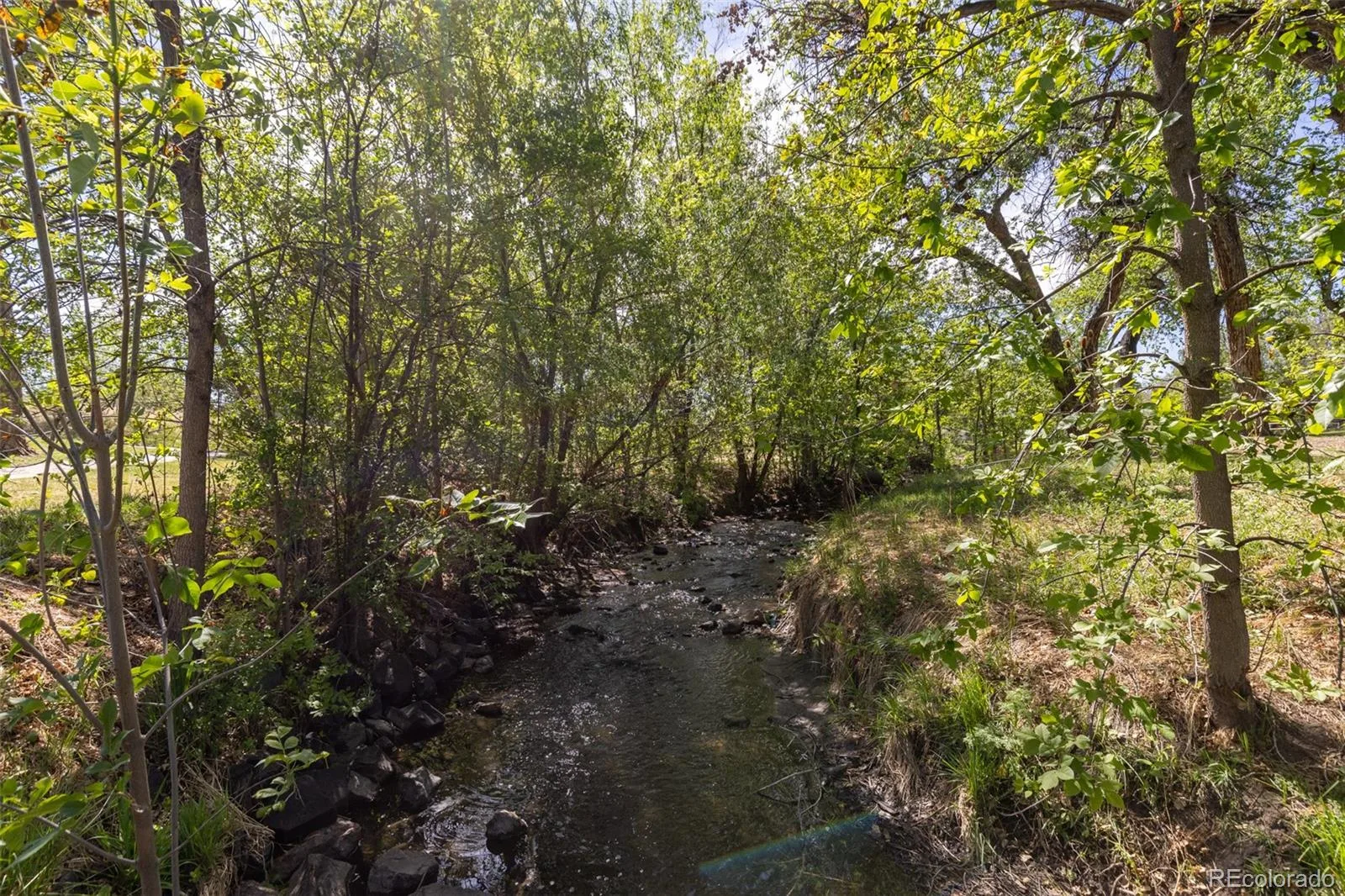 6110 Brooks Drive Arvada CO 80004 MLS #REC4131861 06102026194640 1600 28