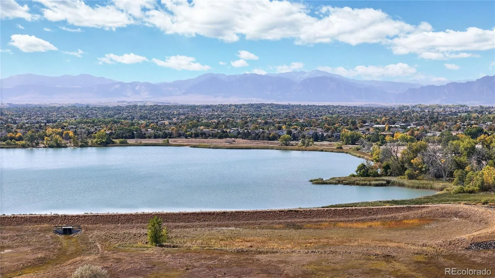 14335 Navajo Street Westminster CO 80023 | MLS #REC4134935 08042026200906 1600 49