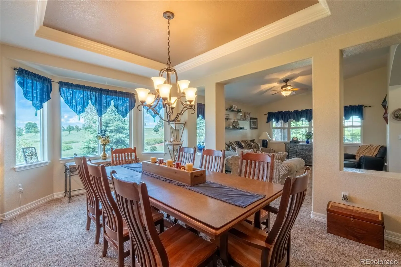 2385 Antelope Ridge Trail Parker CO 80138 | MLS #REC4136202 08222026033520 1600 18