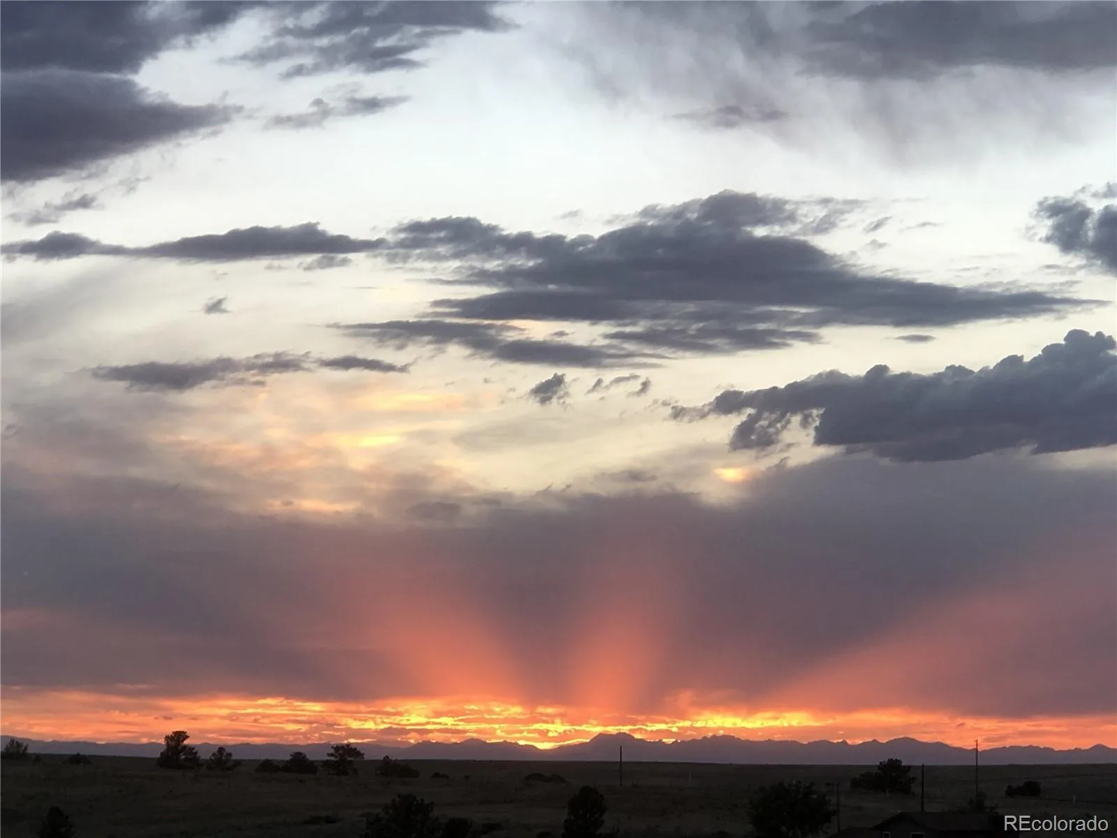 2385 Antelope Ridge Trail Parker CO 80138 | MLS #REC4136202 08222026033520 1600 5