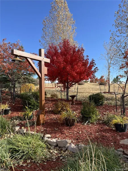2385 Antelope Ridge Trail Parker CO 80138 | MLS #REC4136202 08222026033520 800 4