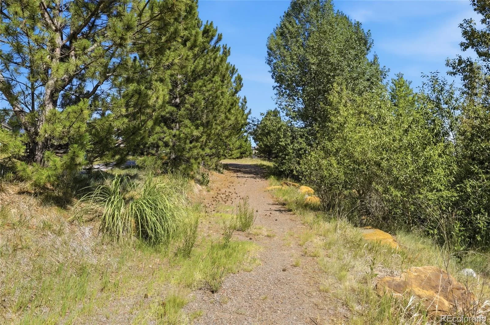 22876 E Tufts Place #A Aurora CO 80015 | MLS #REC4139886 08112026051244 1600 32