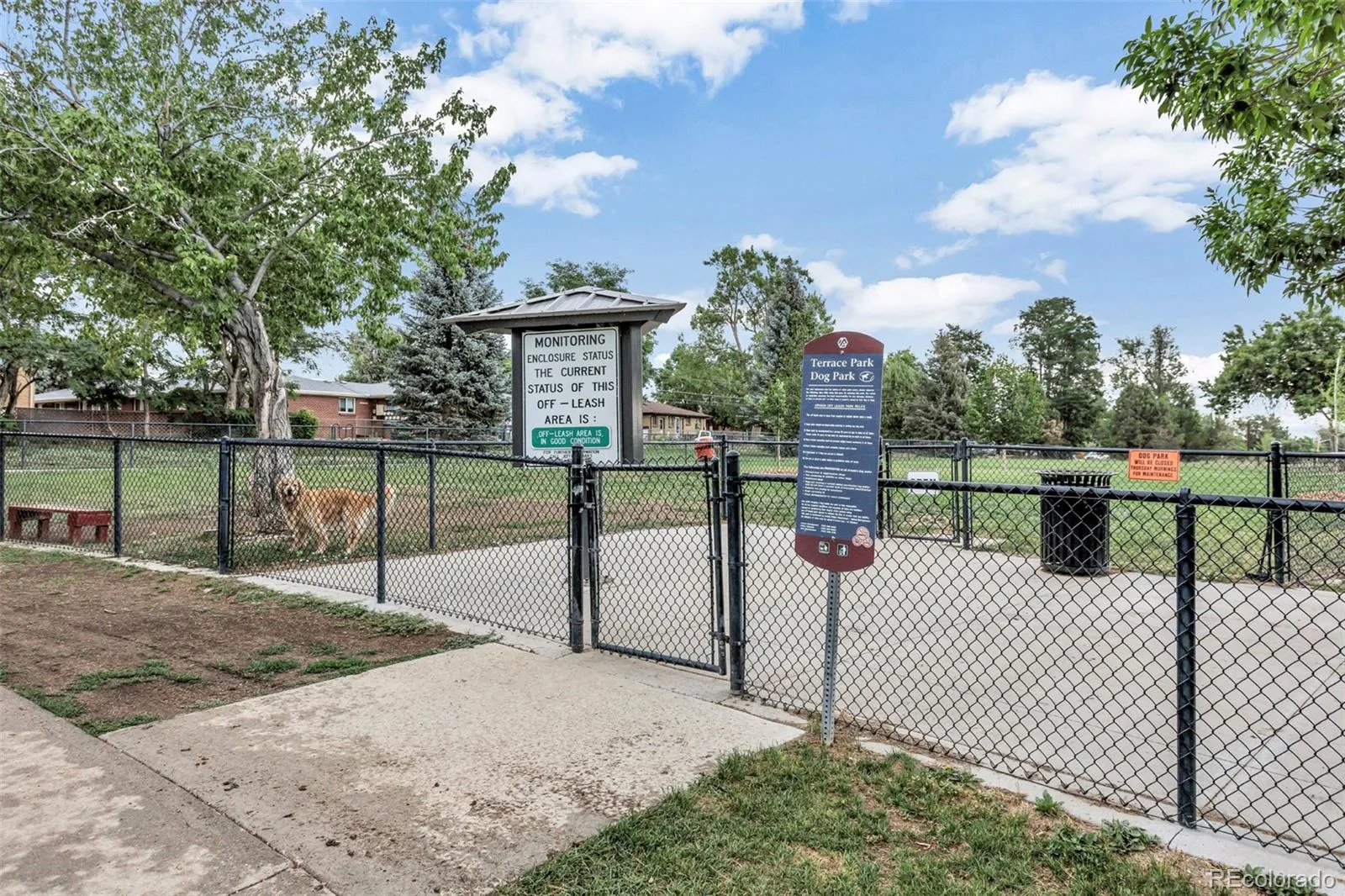 8726 W 54th Place Arvada CO 80002 | MLS #REC4140111 07272026210629 1600 6