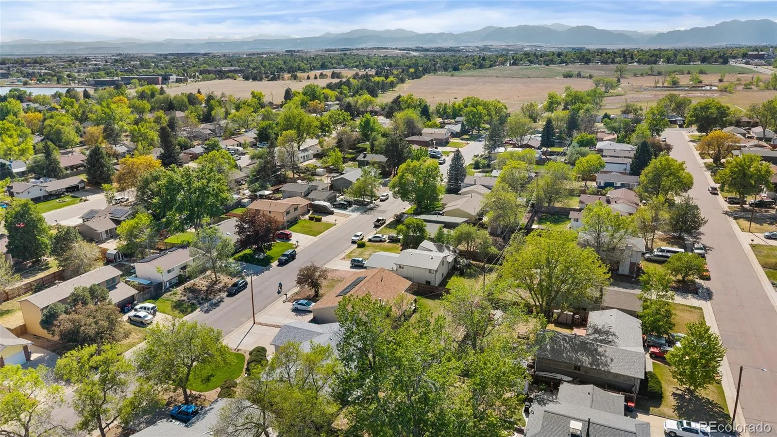 975 E 7th Avenue Broomfield CO 80020 MLS #REC4146574 05122026190956 1600 42