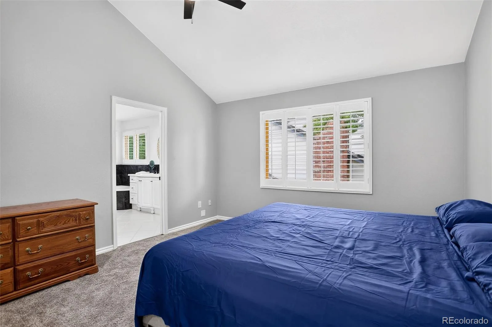 87 Buckthorn Drive Littleton CO 80127 | MLS #REC4146668 07092026154408 1600 30