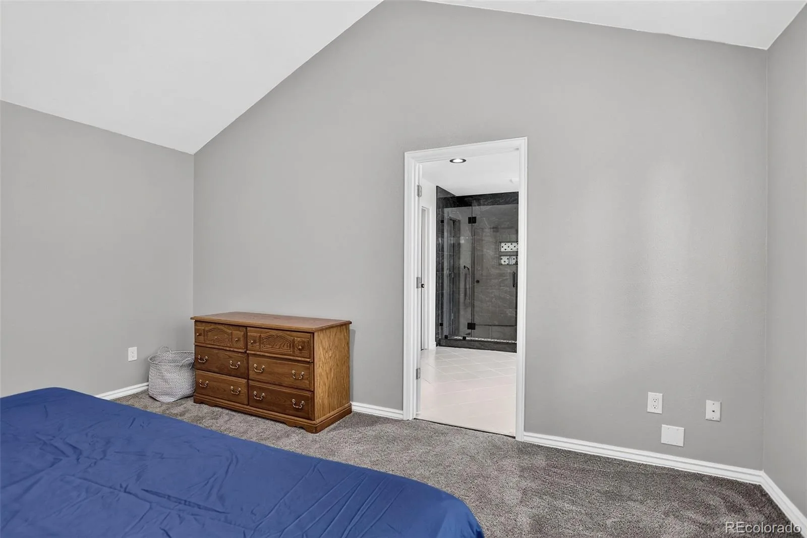 87 Buckthorn Drive Littleton CO 80127 | MLS #REC4146668 07092026154408 1600 31