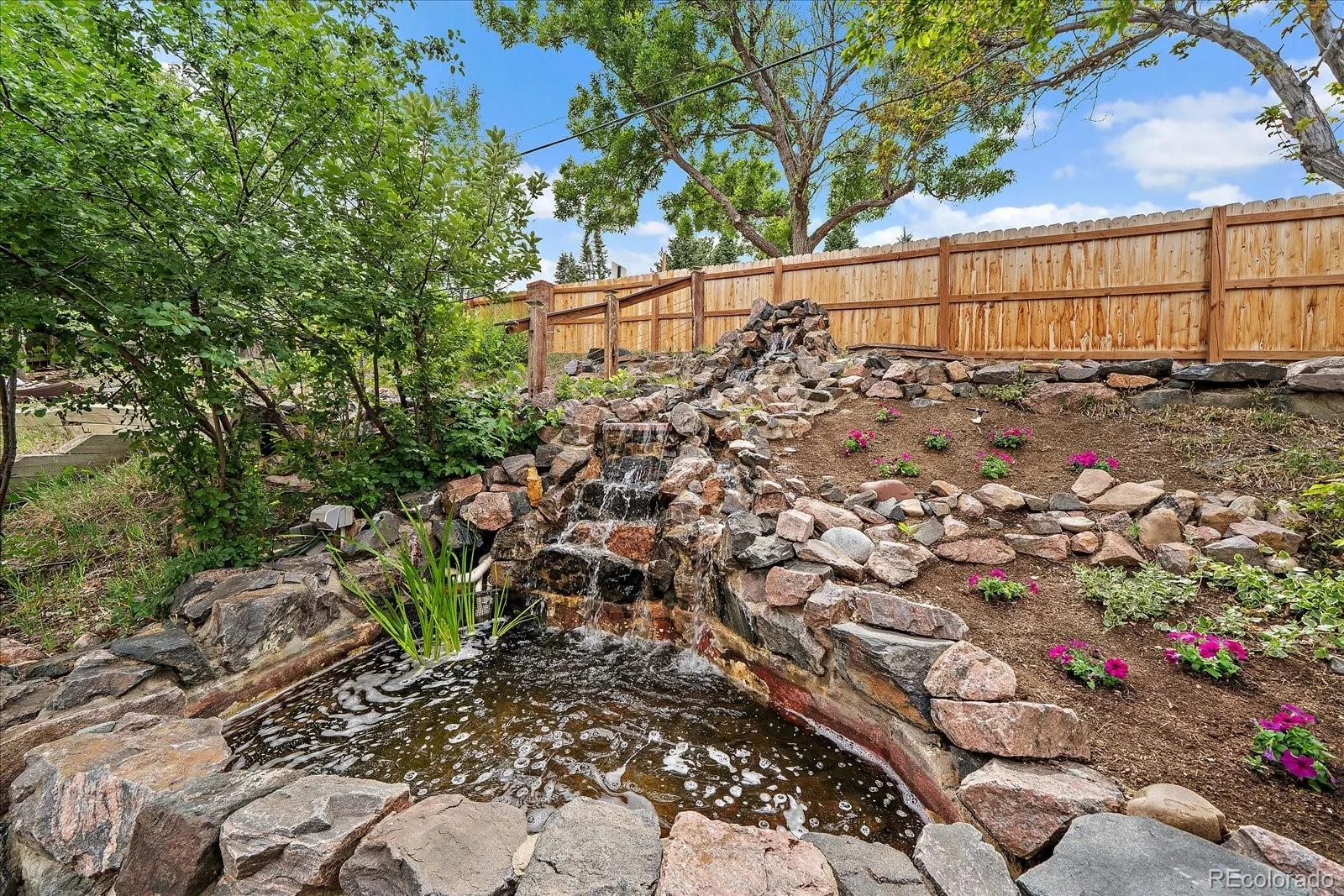 11582 W 67th Avenue Arvada CO 80004 MLS #REC4147339 06102026204202 1600 34