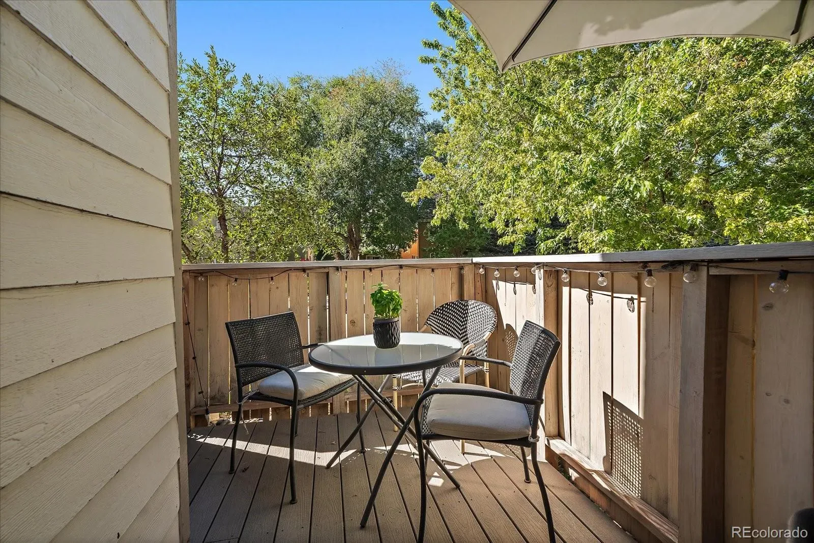 03192026003453 1600 19