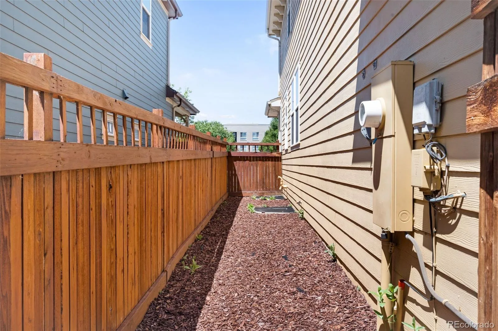 3636 Willow Street Denver CO 80238 MLS #REC4151944 06122026073000 1600 19