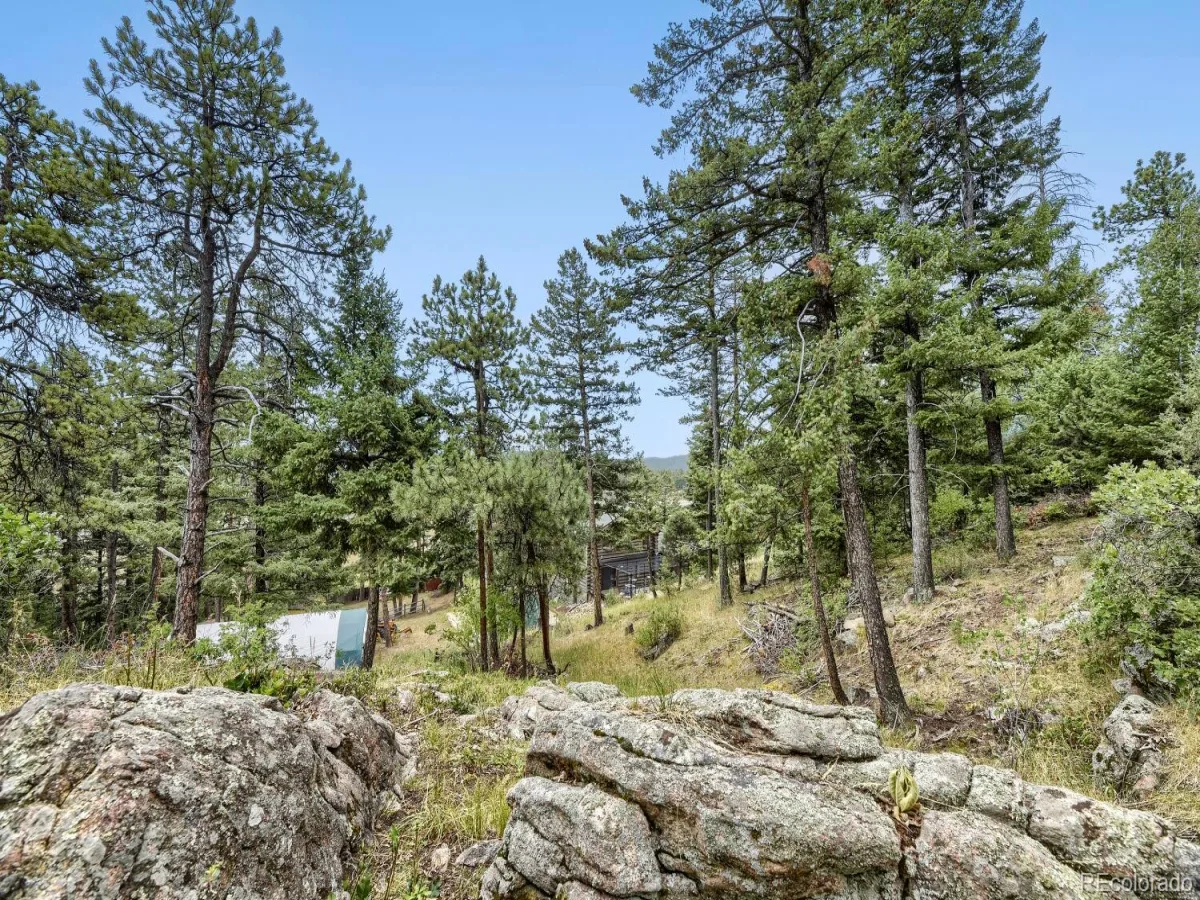 8465 US Highway 285 Morrison CO 80465 | MLS #REC4153160 07312026194056 1200 25