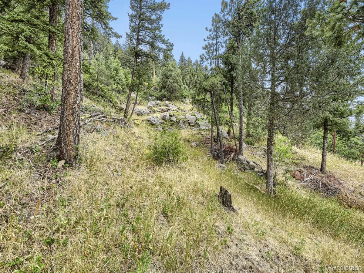 8465 US Highway 285 Morrison CO 80465 | MLS #REC4153160 07312026194056 1200 26