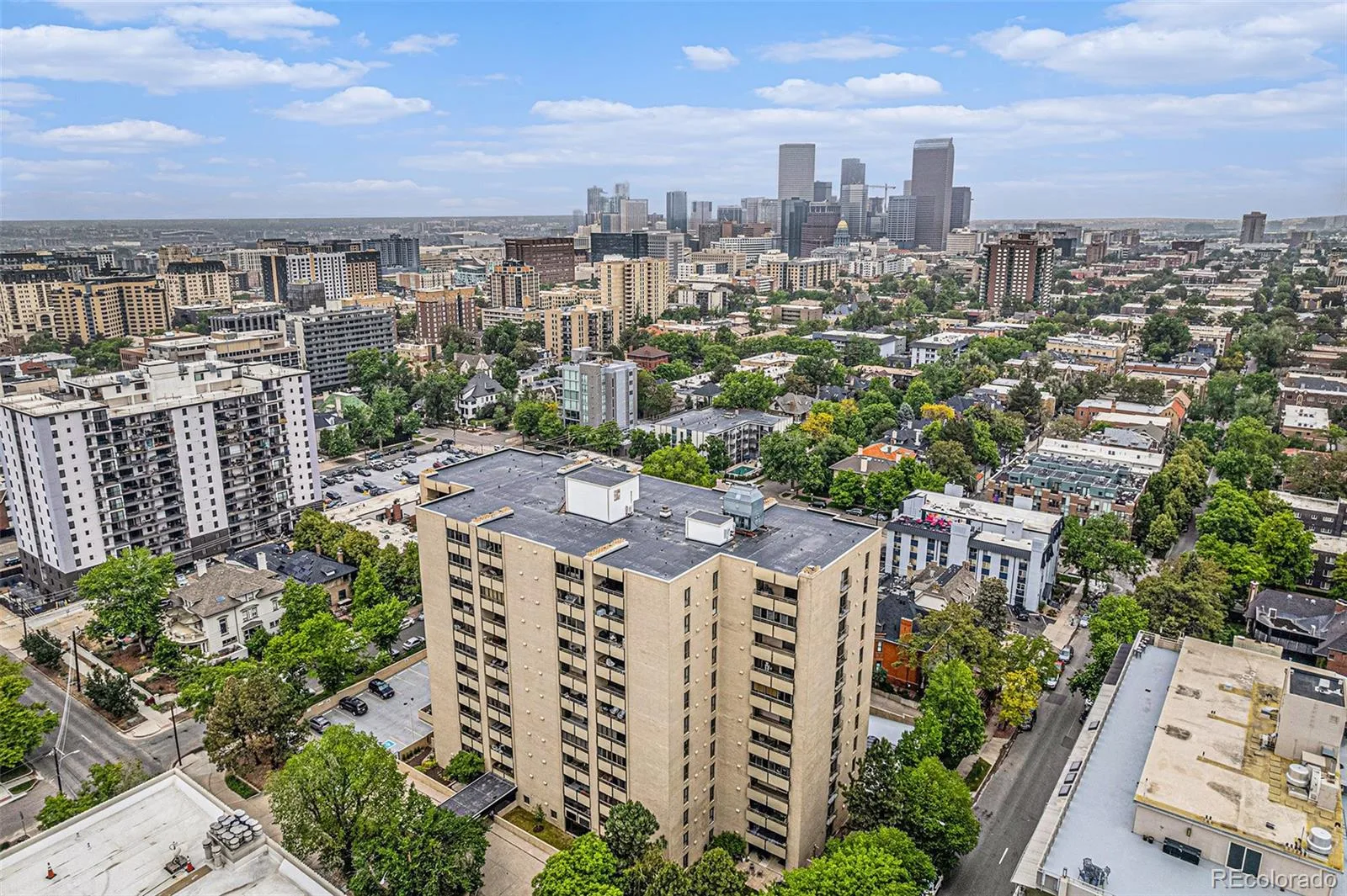 800 N Pearl Street #1109 Denver CO 80203 | MLS #REC4153327 08142026233856 1600 34