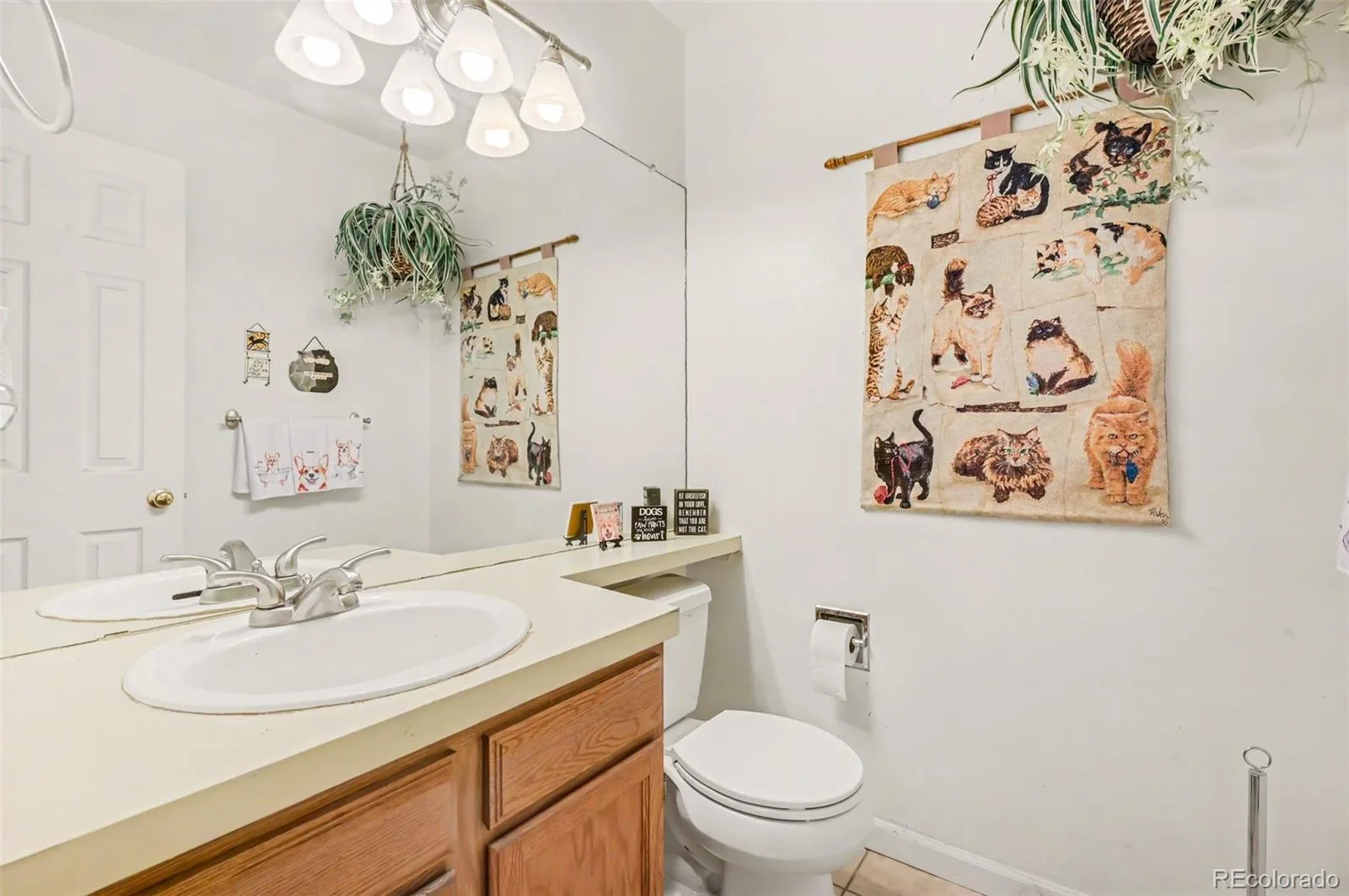 933 S Evanston Circle Aurora CO 80012 MLS #REC4153641 06262026170154 1600 6