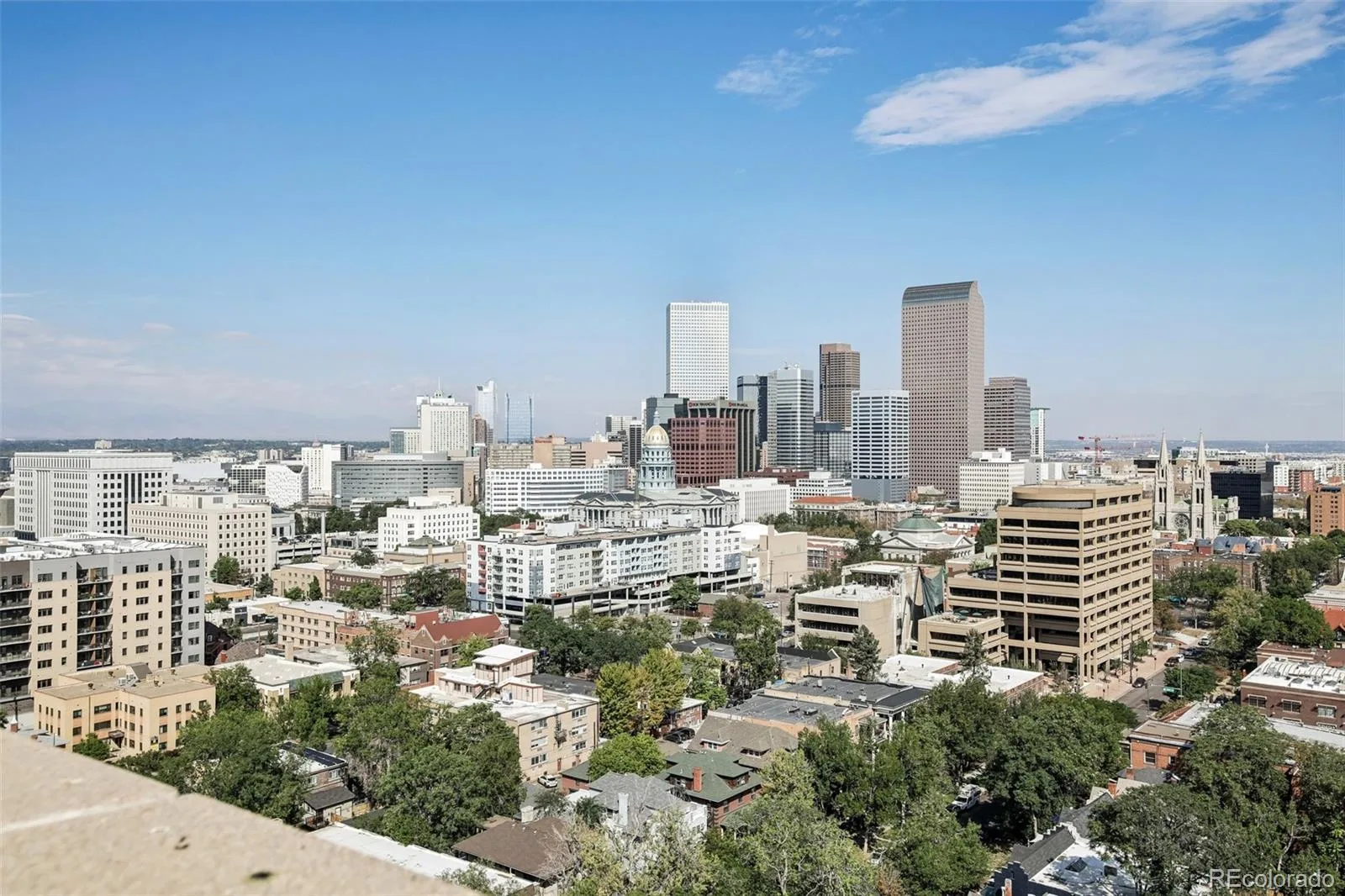 550 E 12th Avenue #1409 Denver CO 80203 | MLS #REC4157675 10142026001507 1600 24