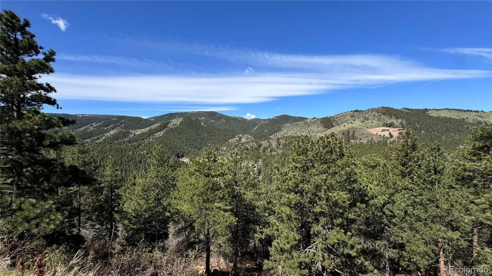 17222 Little Shadow Trail Littleton CO 80127 | MLS #REC4166191 10242025012534 1600 1
