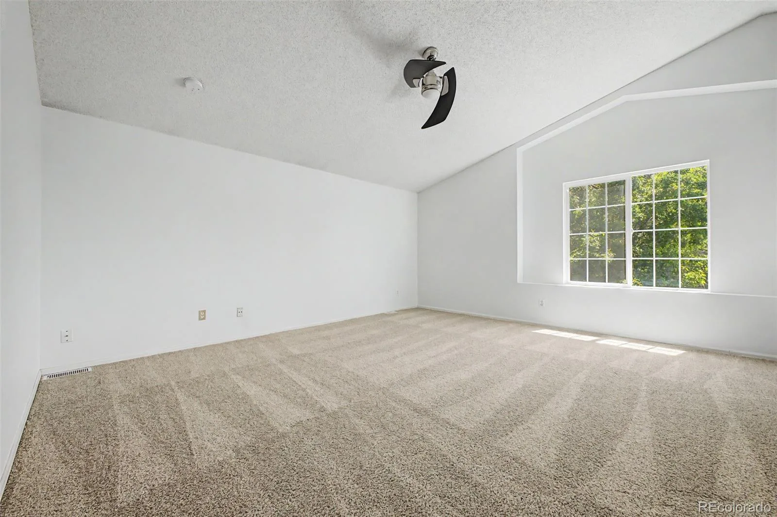 5561 E 117th Avenue Thornton CO 80233 | MLS #REC4173068 07292026194404 1600 21