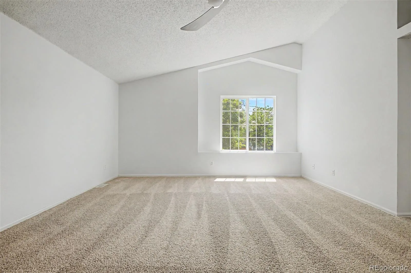 5561 E 117th Avenue Thornton CO 80233 | MLS #REC4173068 07292026194404 1600 22