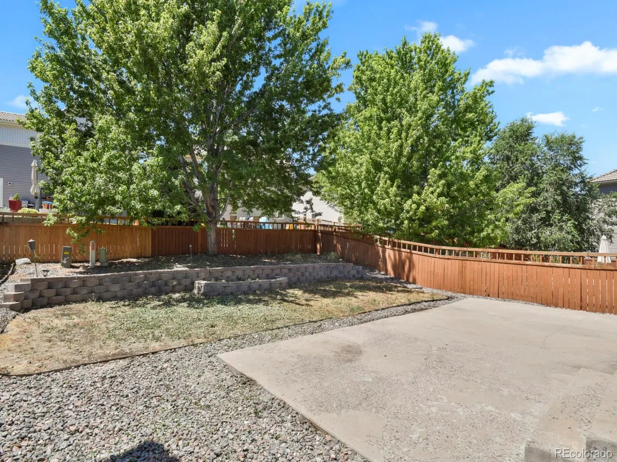 3742 Dinosaur Street Castle Rock CO 80109 | MLS #REC4181889 07242026005826 1200 30