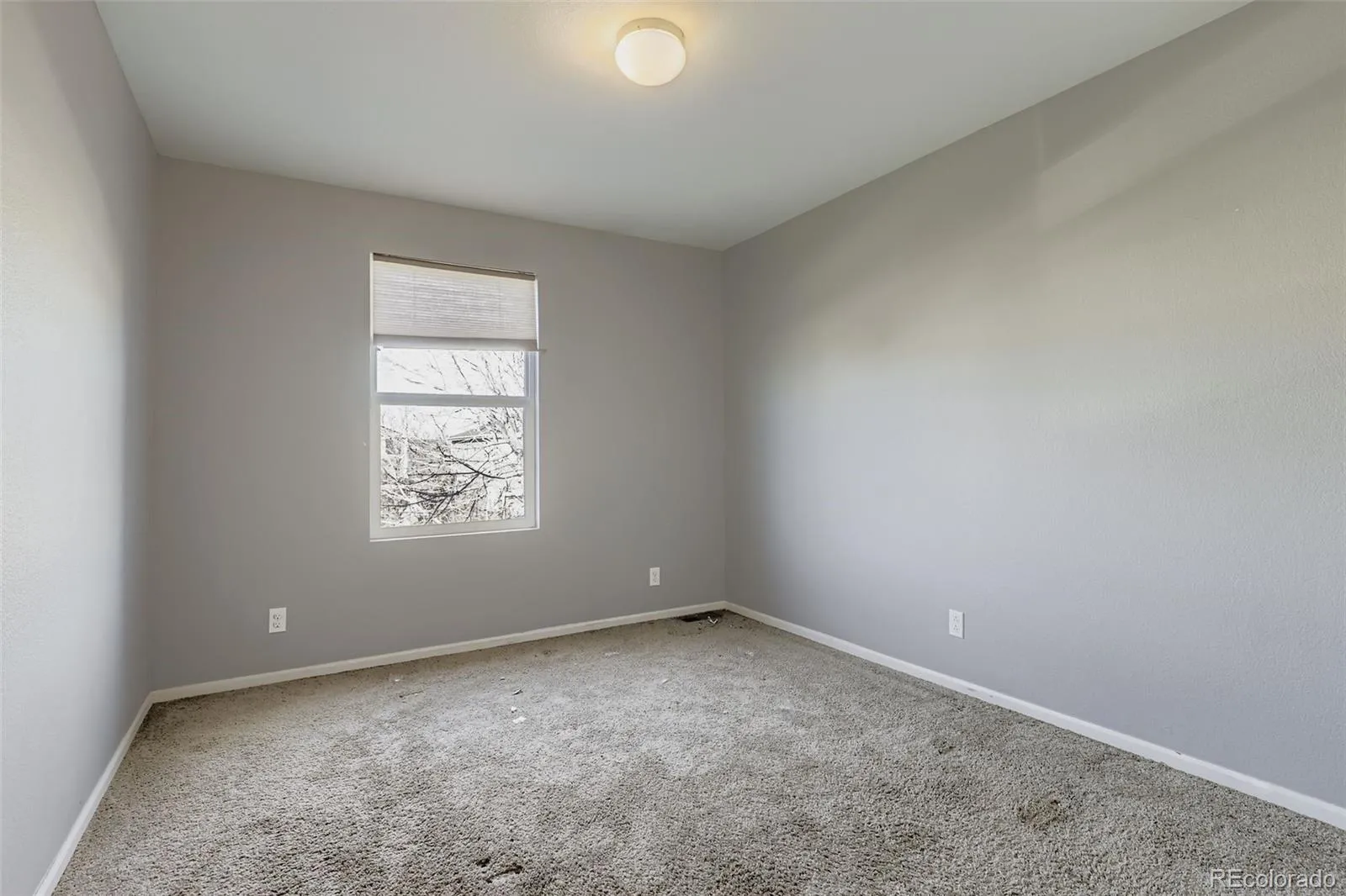 5528 Lewiston Court Denver CO 80239 MLS #REC4182257 05052026040245 1600 22