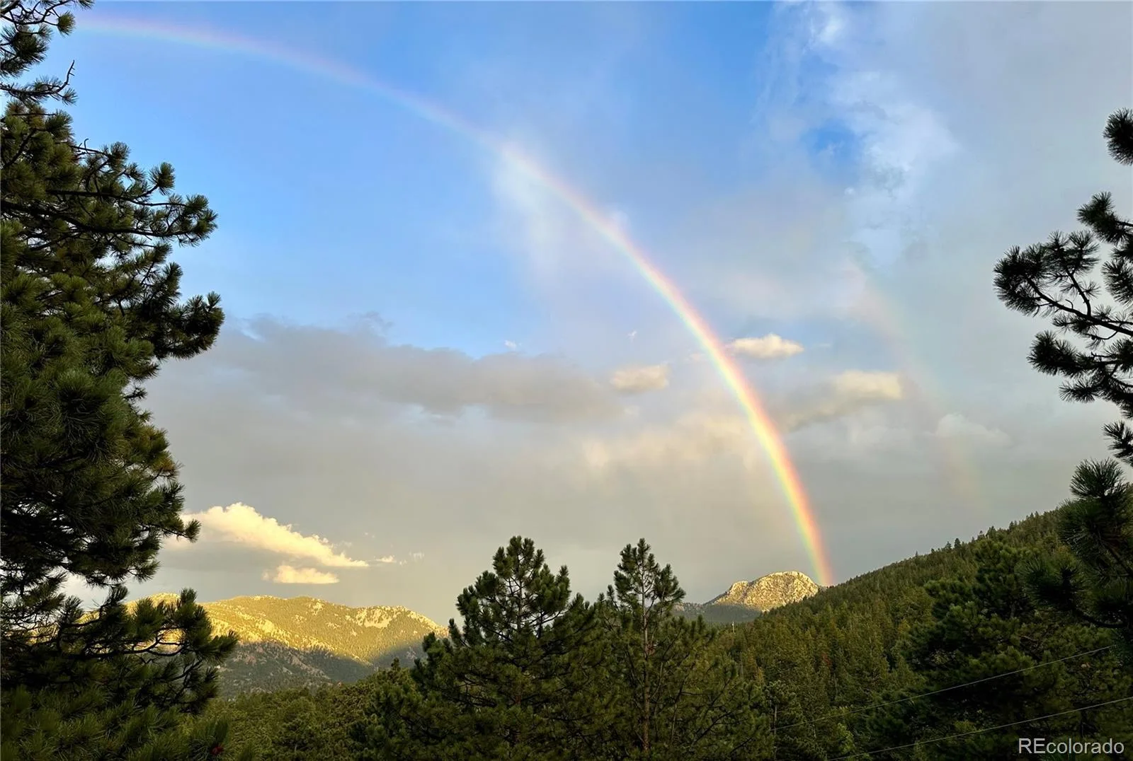 32187 Sylvan Road Golden CO 80403 | MLS #REC4182741 08072026195537 1600 31