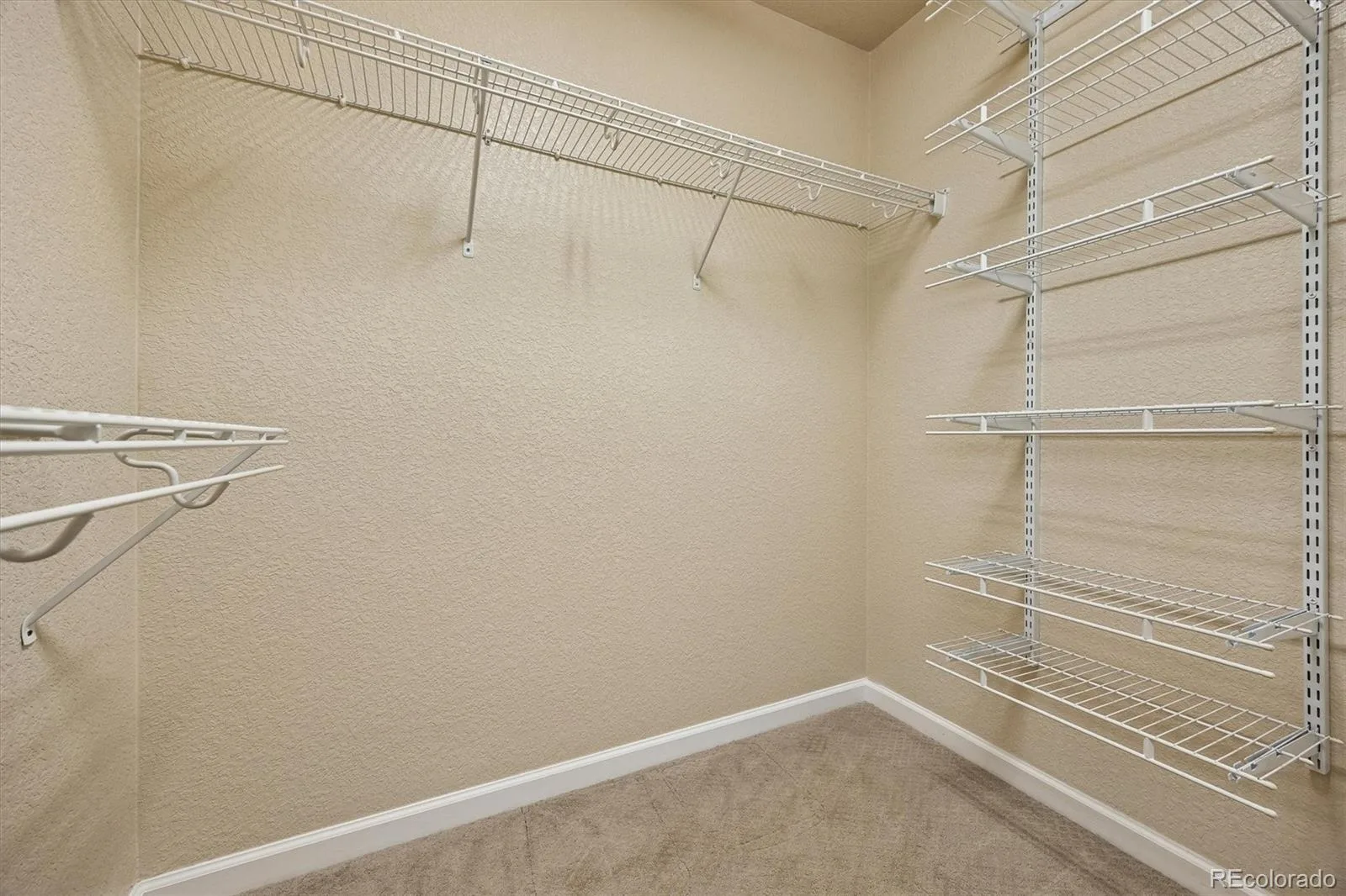 12635 Julian Point Broomfield CO 80020 | MLS #REC4183727 07162026003940 1600 19