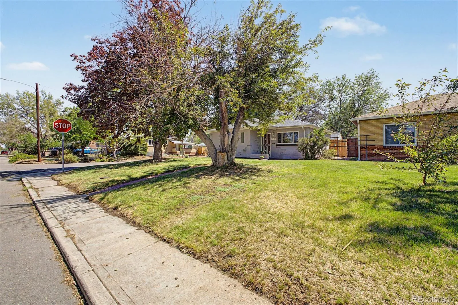 1630 Quince Street Denver CO 80220 MLS #REC4187473 05212026132111 1600 22