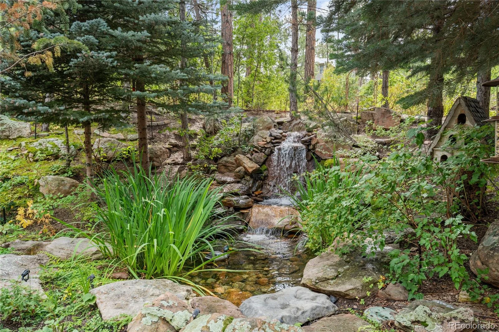 331 Paragon Way Castle Rock CO 80108 | MLS #REC4199816 08282026163618 1600 10