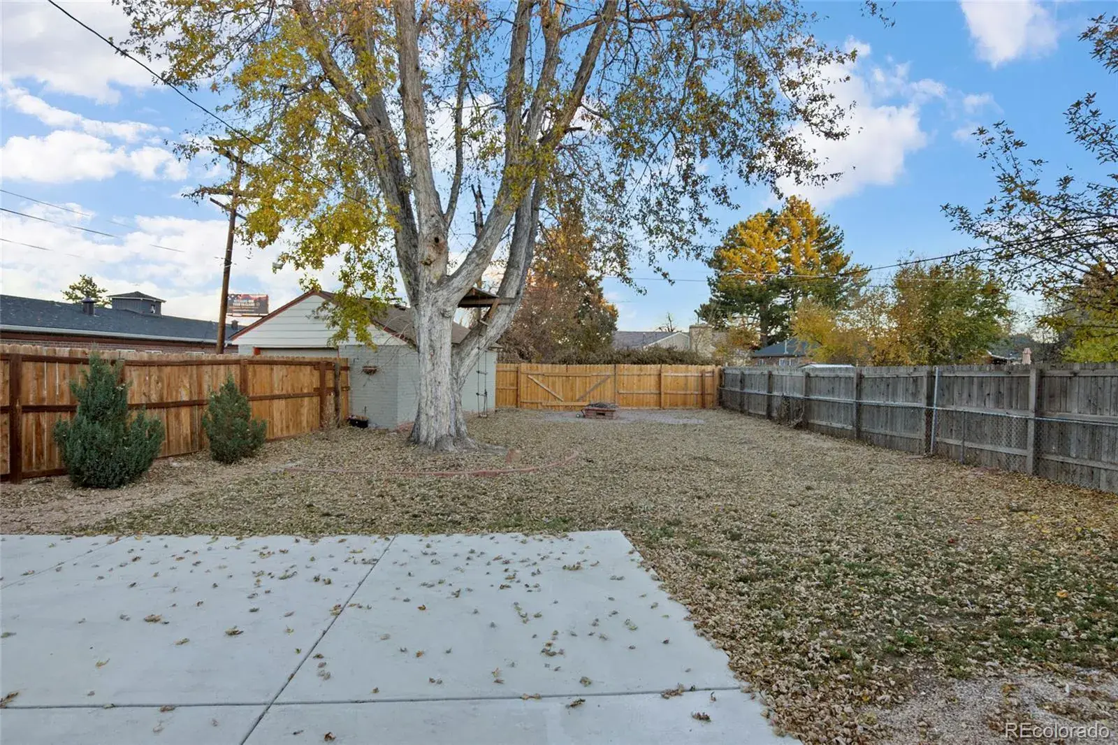 1444 Willow Street Denver CO 80220 MLS #REC4203696 01262026002018 1600 19