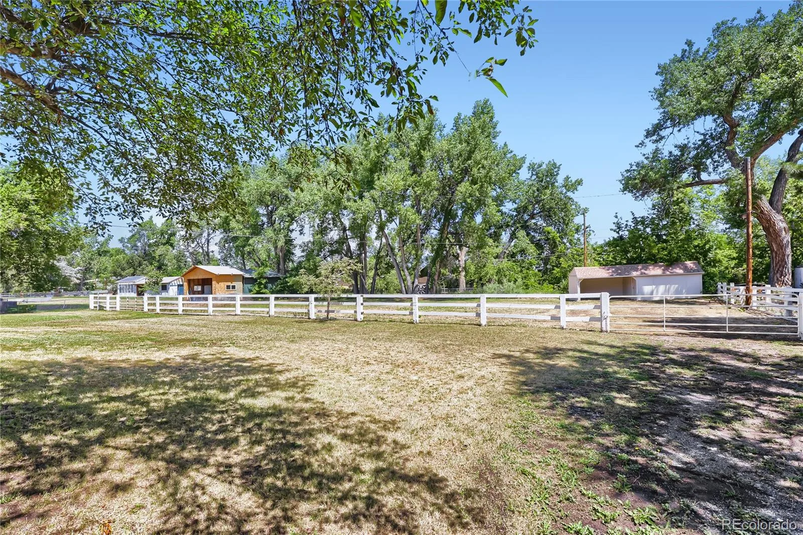 10405 W 79th Way Arvada CO 80005 MLS #REC4211567 07012026233616 1600 28
