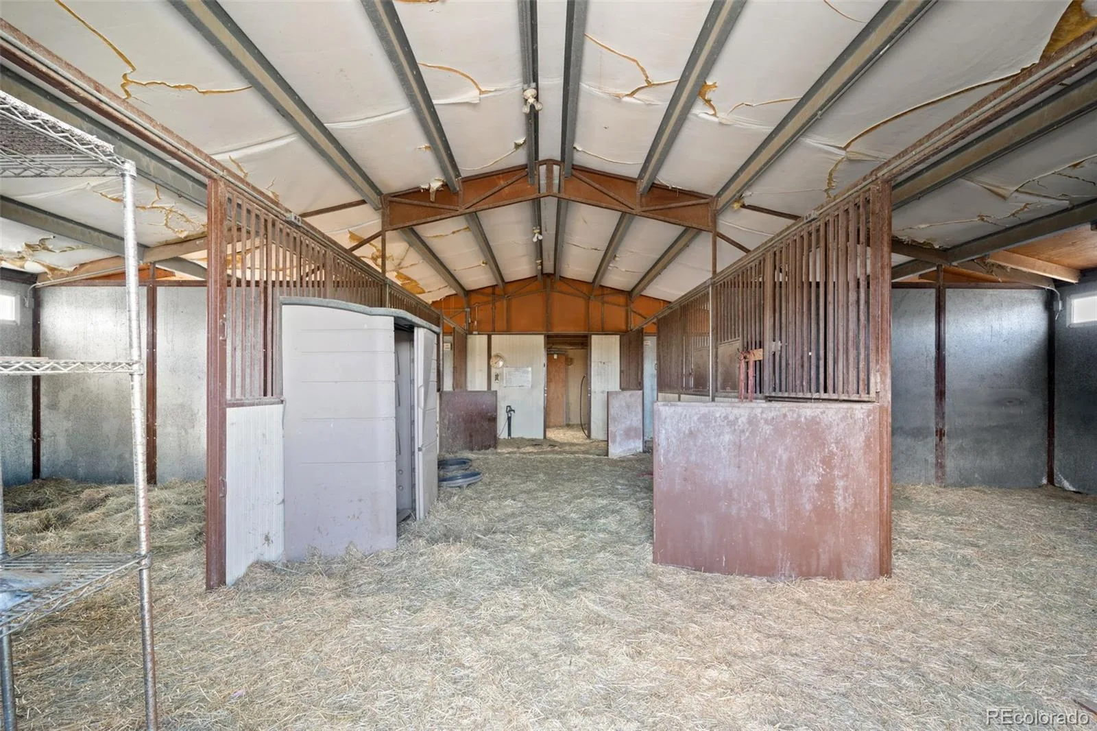 12883 W 75th Place Arvada CO 80005 MLS #REC4229209 06112026171706 1600 31