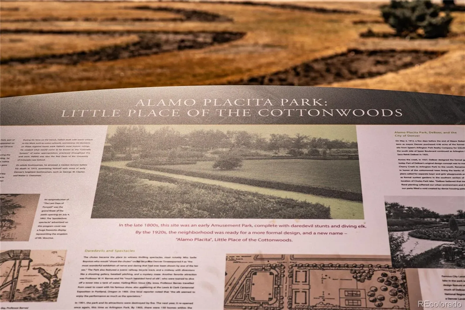 03072026164546 1600 30