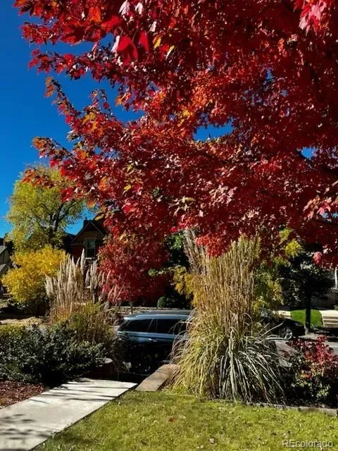 03072026164546 480 28