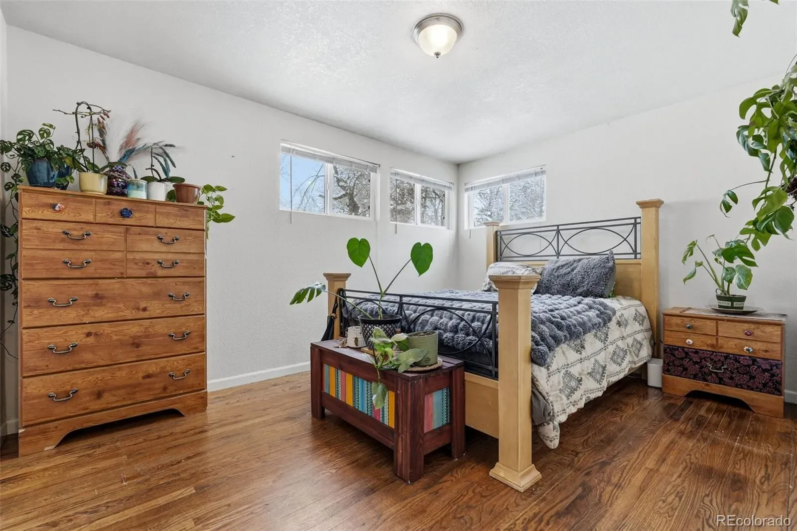 03072026202334 1600 19