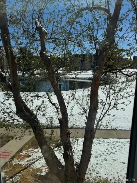 3082 S Wheeling Way #211 Aurora CO 80014 MLS #REC4240503 03172026170955 480 15