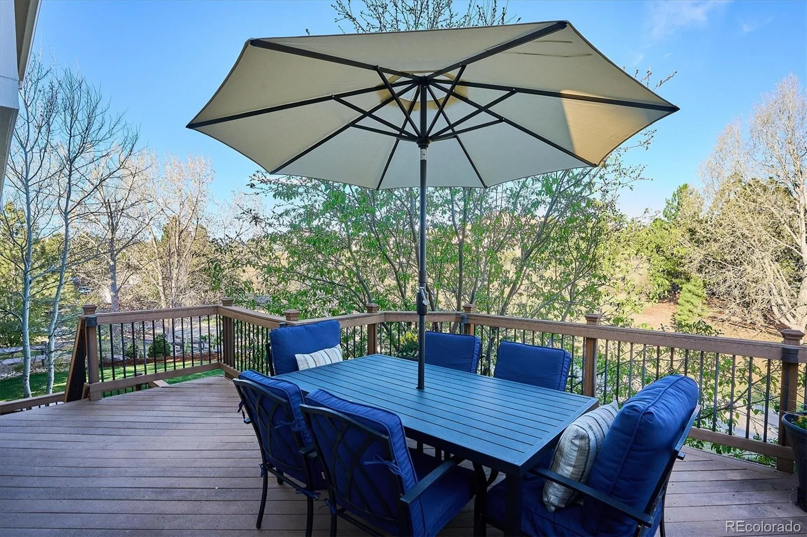 595 Leicester Lane Castle Pines CO 80108 MLS #REC4241057 04152026161211 1600 12