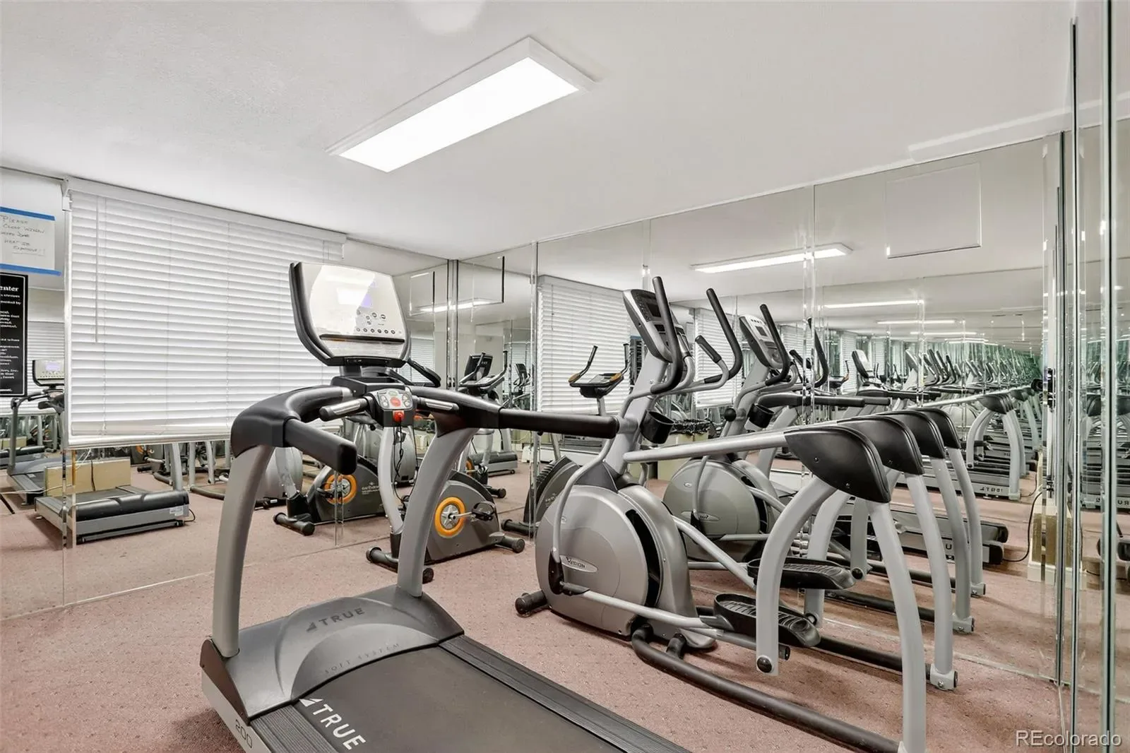 1125 N Washington Street #206 Denver CO 80203 MLS #REC4242577 03132026185756 1600 19