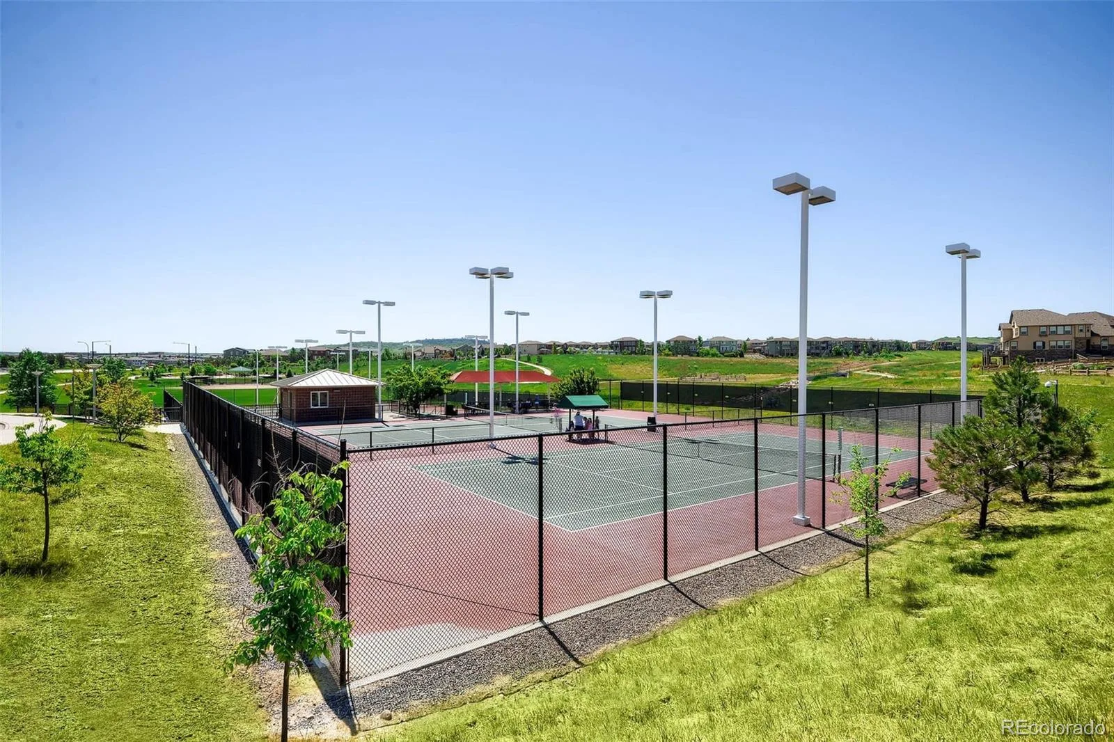 1020 English Sparrow Trail Littleton CO 80129 | MLS #REC4252109 08082026192406 1600 46