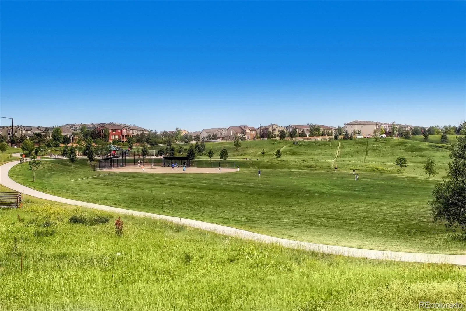 1020 English Sparrow Trail Littleton CO 80129 | MLS #REC4252109 08082026192406 1600 49