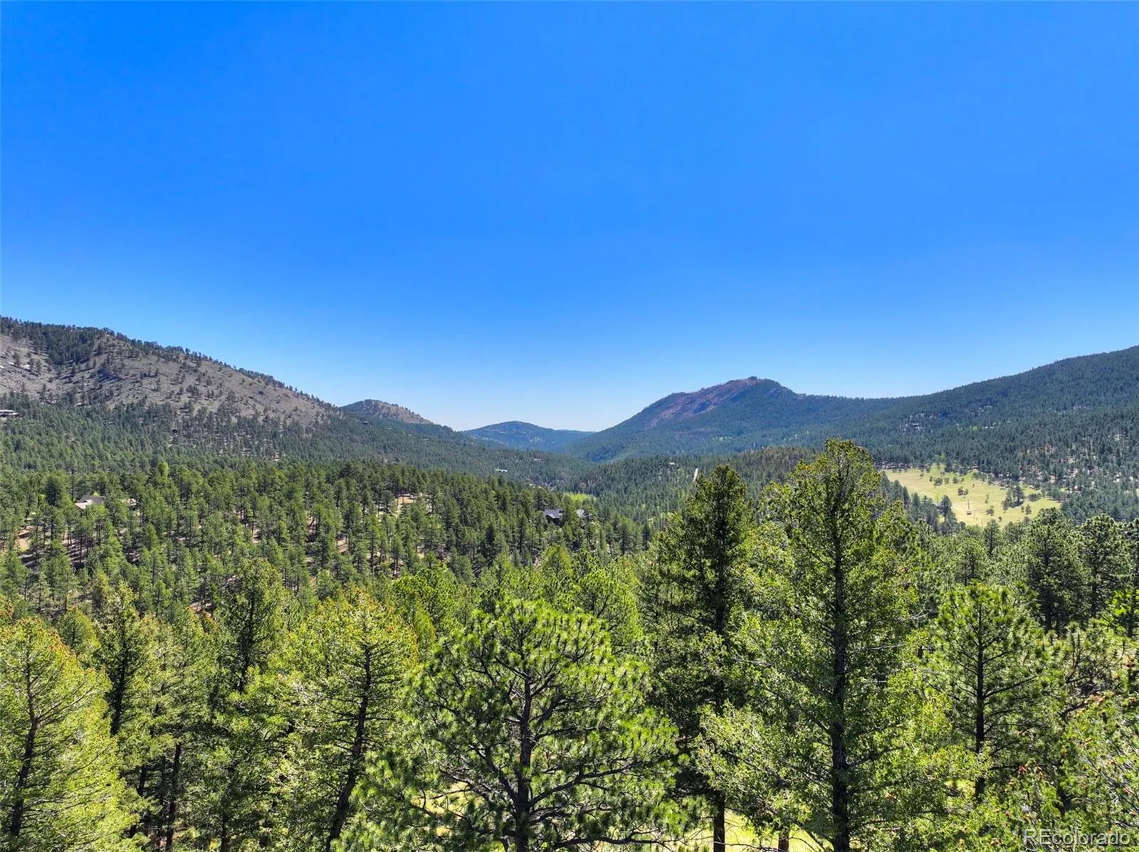281 Kings Evergreen CO 80439 | MLS #REC4256193 05212026145253 1600 10