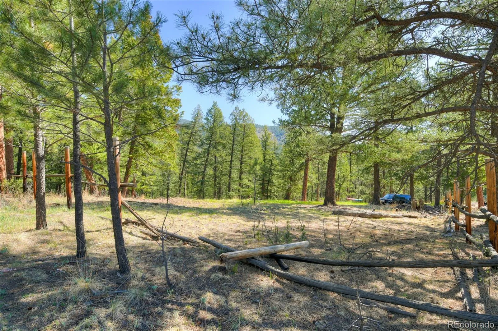 281 Kings Evergreen CO 80439 | MLS #REC4256193 05212026145253 1600 4