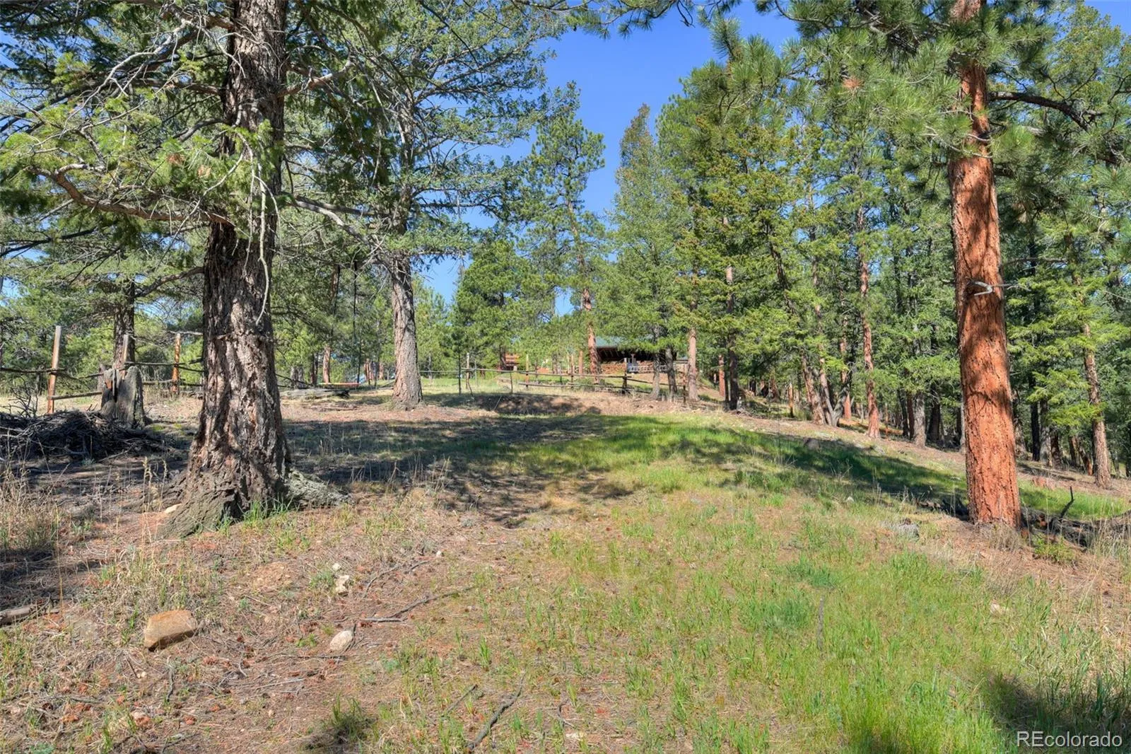 281 Kings Evergreen CO 80439 | MLS #REC4256193 05212026145253 1600 5