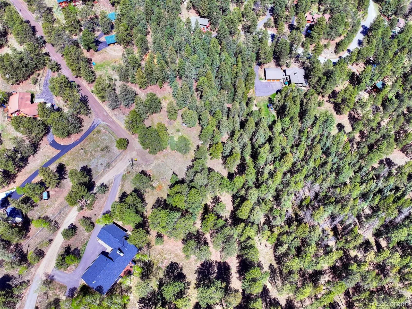 281 Kings Evergreen CO 80439 | MLS #REC4256193 05212026145253 1600 9
